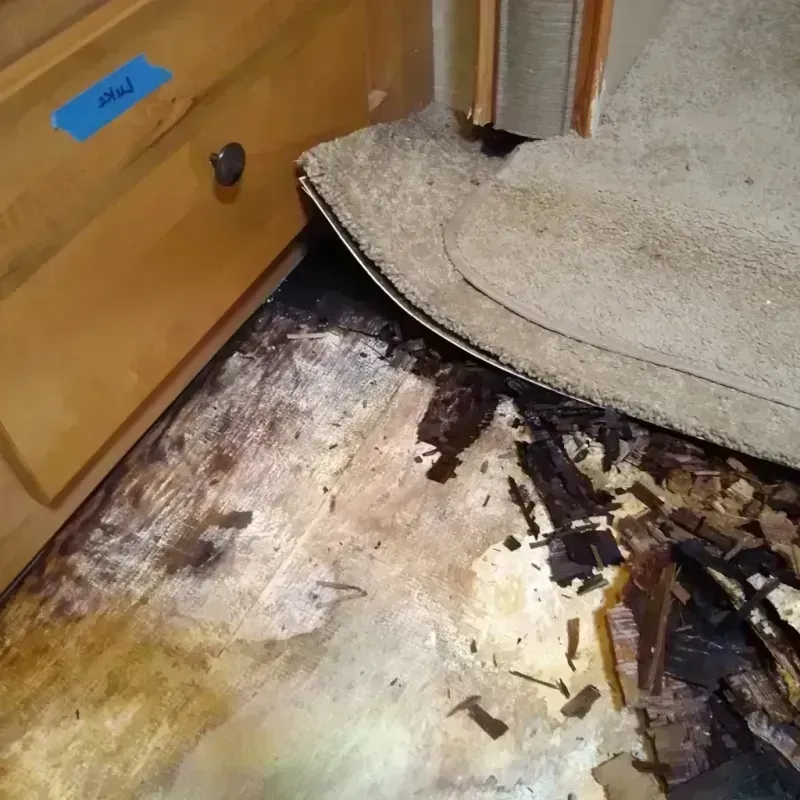 Wood Floor Water Damage in Jefferson Parish, LA